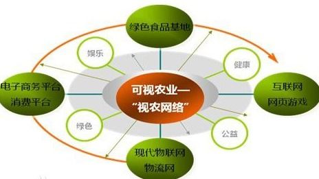 VIE結構 網絡技術服務企業的國際化融資路徑解析